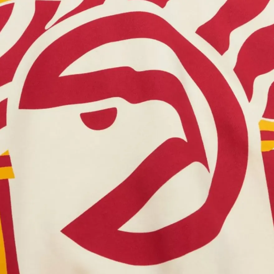 Mitchell & Ness Hoodies & Sweatshirts-M&N X Melody Ehsani Raglan Pullover Atlanta Hawks
