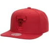 Mitchell & Ness Snapback-Monochromatic Snapback Hwc Chicago Bulls