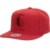 Mitchell & Ness Snapback-Monochromatic Snapback Hwc Portland Trail Blazers
