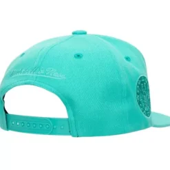 Mitchell & Ness Snapback-Monochromatic Snapback Hwc Vancouver Grizzlies