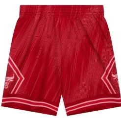 Mitchell & Ness Nba Swingman-Monochrome Swingman Chicago Bulls 2008-09 Shorts