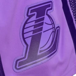 Mitchell & Ness Nba Swingman-Monochrome Swingman Los Angeles Lakers 2009-10 Shorts