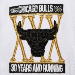 Mitchell & Ness Snapback-Mvp Snapback Chicago Bulls