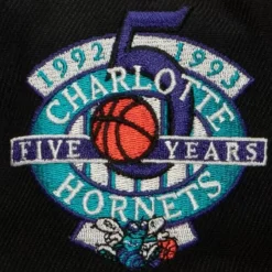 Mitchell & Ness Snapback-My Squad Snapback Hwc Charlotte Hornets