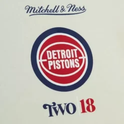 Mitchell & Ness Hoodies & Sweatshirts-My Towns Two|18 Graphic Hoody Detroit Pistons
