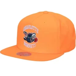 Mitchell & Ness Snapback-Neon Nylon Snapback Hwc Charlotte Hornets