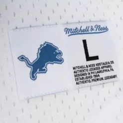 Mitchell & Ness T-Shirts & Tops-N&N Mesh Top Detroit Lions 1993 Barry Sanders