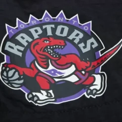 Mitchell & Ness Shorts-Nylon Utility Shorts Toronto Raptors