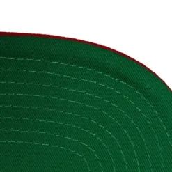 Mitchell & Ness Snapback-Paintbrush Snapback San Francisco 49Ers