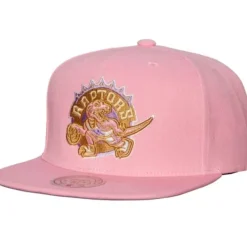 Mitchell & Ness Snapback-Pastel Snapback Hwc Toronto Raptors