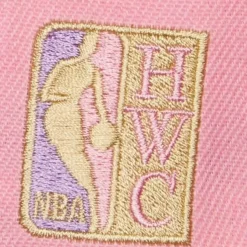 Mitchell & Ness Snapback-Pastel Snapback Hwc Toronto Raptors