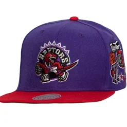 Mitchell & Ness Snapback-Patch Overload Snapback Hwc Toronto Raptors