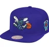 Mitchell & Ness Snapback-Patches 2 Tone Hwc Snapback Charlotte Hornets