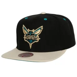 Mitchell & Ness Snapback-Pin Drop Snapback Charlotte Hornets