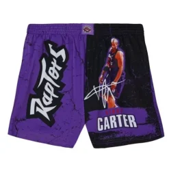Mitchell & Ness Shorts-Player Burst Mesh Shorts Toronto Raptors Vince Carter