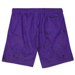 Mitchell & Ness Shorts-Player Burst Mesh Shorts Toronto Raptors Vince Carter