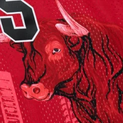 Mitchell & Ness Nba Swingman-Polo G X Br Remix Swingman Chicago Bulls Jersey