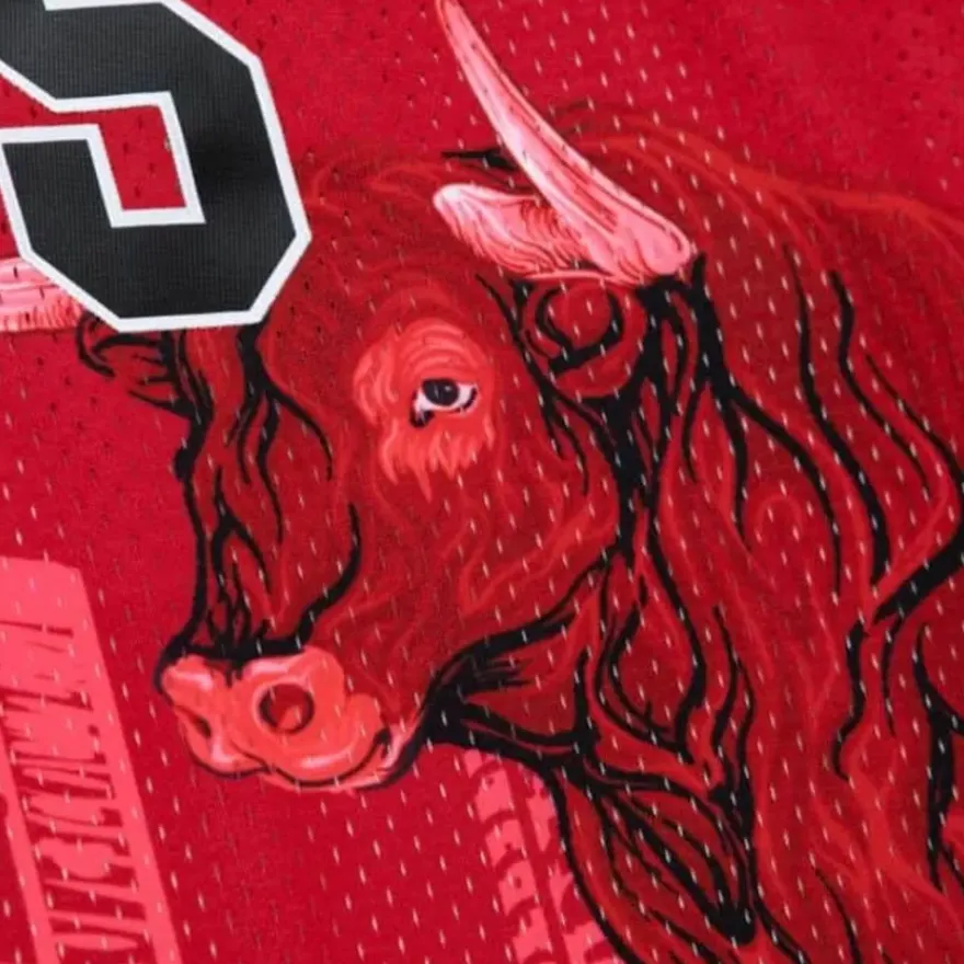 Mitchell & Ness Nba Swingman-Polo G X Br Remix Swingman Chicago Bulls Jersey