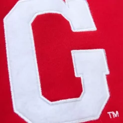 Mitchell & Ness Hoodies & Sweatshirts-Pre-Game Ss Fleece Hoodie University Of Georgia