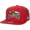 Mitchell & Ness Snapback-Psychedelic Snapback Hwc Chicago Bulls