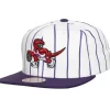 Mitchell & Ness Snapback-Retro Pinstripe Snapback Hwc Toronto Raptors