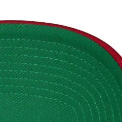 Mitchell & Ness Snapback-Retro Trucker Snapback San Francisco 49Ers