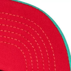 Mitchell & Ness Snapback-Retrodome Pro Snapback Hwc Vancouver Grizzlies
