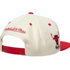 Mitchell & Ness Snapback-Sail 2 Tone Snapback Hwc Chicago Bulls