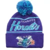 Mitchell & Ness Knit-Script Pom Beanie Hwc Charlotte Hornets