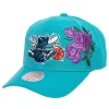Mitchell & Ness Snapback-Secondary Roses Pro Snapback Hwc Charlotte Hornets