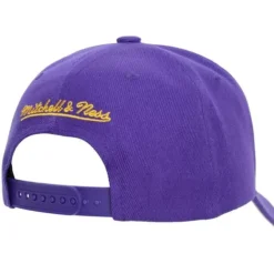 Mitchell & Ness Snapback-Secondary Roses Pro Snapback Los Angeles Lakers