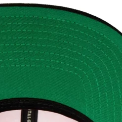 Mitchell & Ness Snapback-Side Core 2.0 Snapback Hwc Toronto Raptors