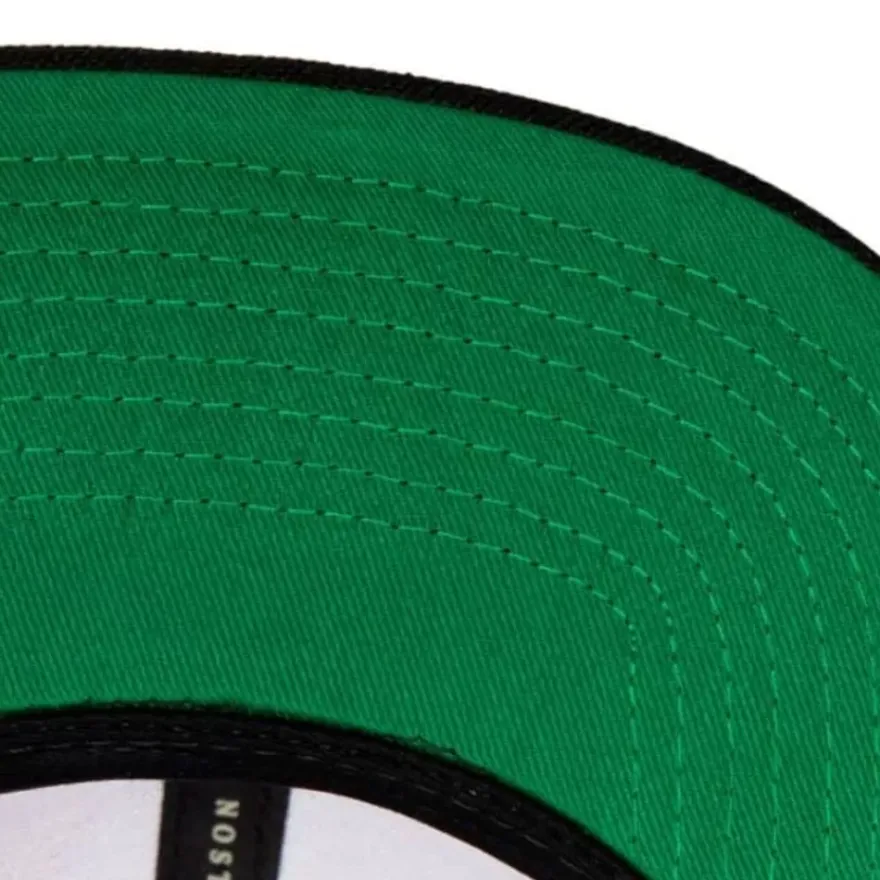 Mitchell & Ness Snapback-Side Core 2.0 Snapback Hwc Toronto Raptors