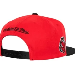Mitchell & Ness Snapback-Side Core 2.0 Snapback Hwc Vancouver Grizzlies