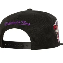 Mitchell & Ness Snapback-Side Jam Snapback Hwc Toronto Raptors