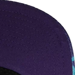Mitchell & Ness Snapback-Snapshot Snapback Charlotte Hornets