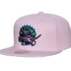 Mitchell & Ness Snapback-So Fresh Snapback Hwc Toronto Raptors