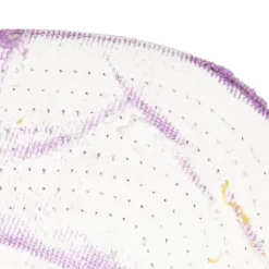 Mitchell & Ness Snapback-Ssbsts Snapback Hwc Los Angeles Lakers