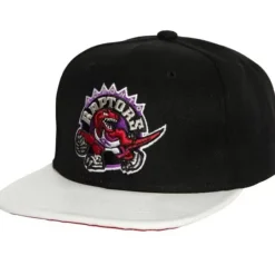 Mitchell & Ness Snapback-Ssbsts Snapback Hwc Toronto Raptors