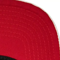 Mitchell & Ness Snapback-Ssbsts Snapback Hwc Toronto Raptors