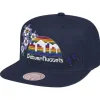 Mitchell & Ness Snapback-State Flower Snapback Hwc Denver Nuggets