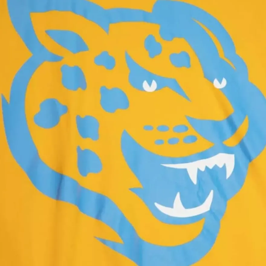 Mitchell & Ness T-Shirts & Tops-Su Oversized Mascot Tee Southern University And A&M College