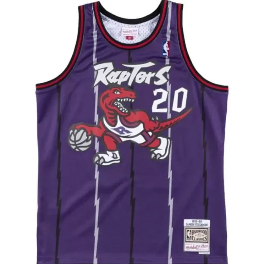 Mitchell & Ness Nba Swingman-Swingman Jersey Toronto Raptors Road 1995-96 Damon Stoudamire