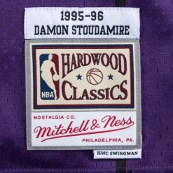 Mitchell & Ness Nba Swingman-Swingman Jersey Toronto Raptors Road 1995-96 Damon Stoudamire