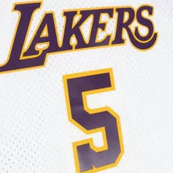 Mitchell & Ness Nba Swingman-Swingman Robert Horry Los Angeles Lakers Alternate 2002-03 Jersey