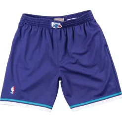 Mitchell & Ness Nba Swingman-Swingman Shorts Charlotte Hornets Alternate 1994-95
