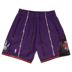 Mitchell & Ness Nba Swingman-Swingman Shorts Toronto Raptors Road 1998-99