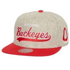 Mitchell & Ness Snapback-Tailsweep 2.0 Melton Snapback V Ohio State