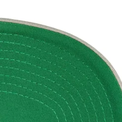 Mitchell & Ness Snapback-Tailsweep 2.0 Pro Snapback Philadelphia Eagles