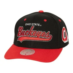 Mitchell & Ness Snapback-Tailsweep 2.0 Pro Snapback V Ohio State